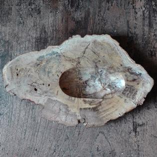 petrified wood vide-poche