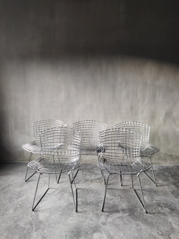 Set of five wire dining chairs by Harry Bertoia, Knoll, 1960 Home Items Authentic and so